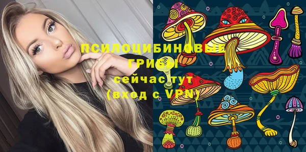 прущие грибы Белоозёрский