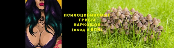 прущие грибы Белоозёрский