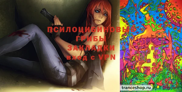 прущие грибы Белоозёрский