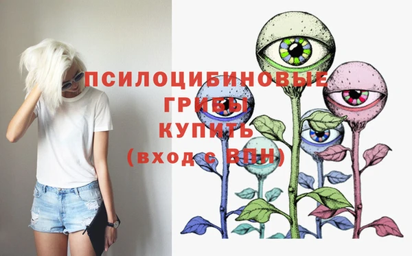 прущие грибы Белоозёрский