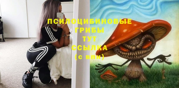 прущие грибы Белоозёрский